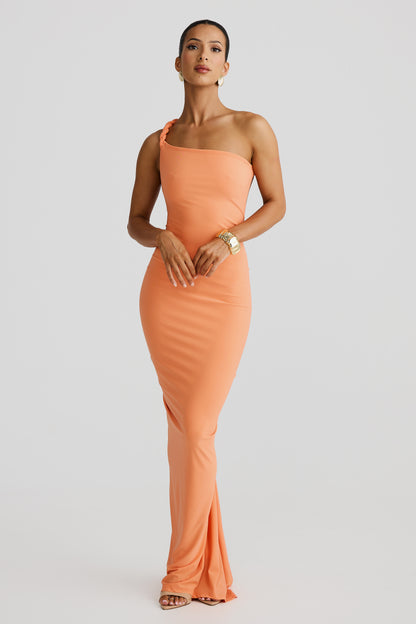 Lumia Gown Dress